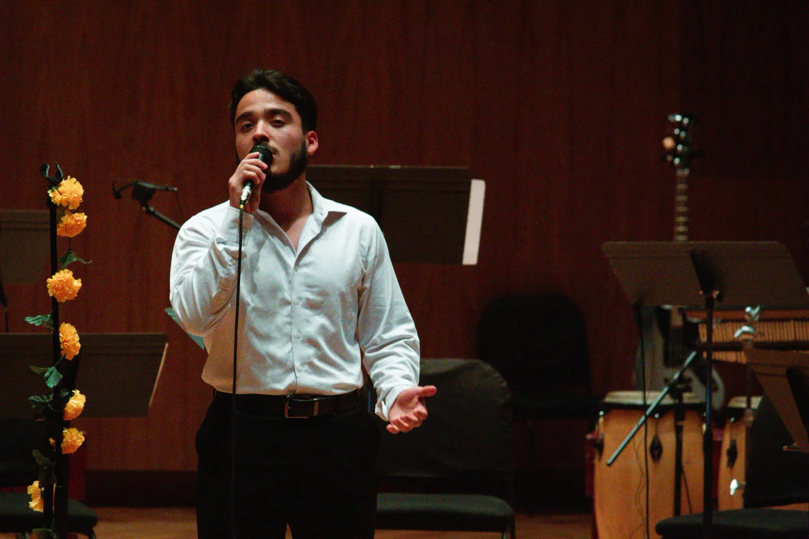 concert photography by JRMGraphy